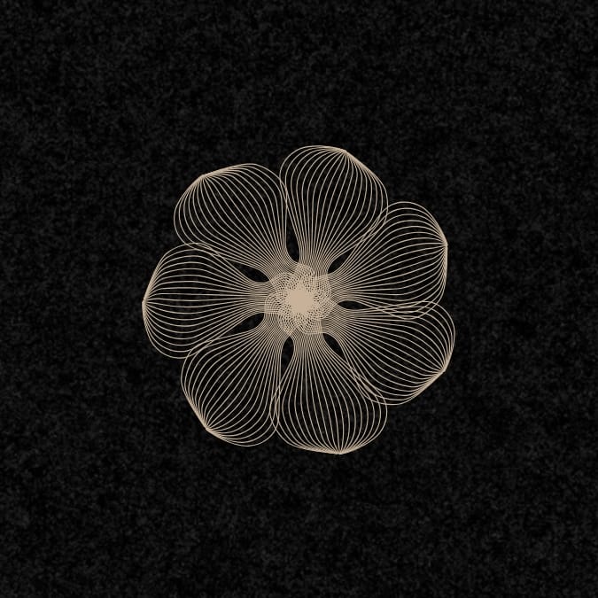 simulation